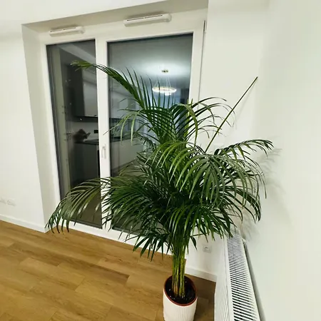 Hortensja House شقة *